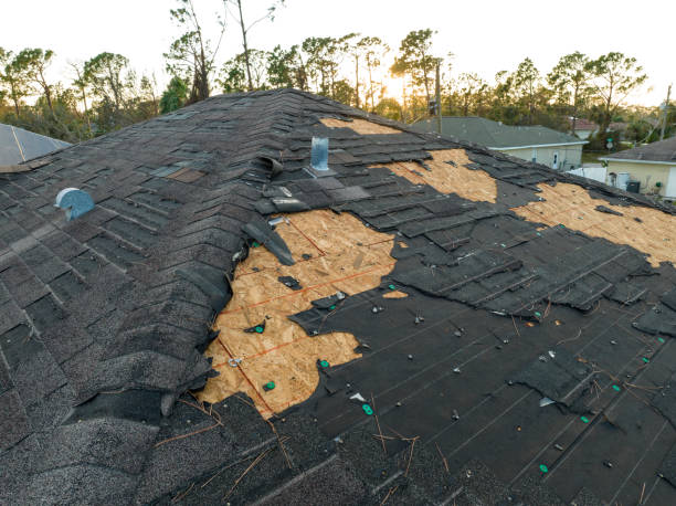 Best Roof Maintenance  in USA